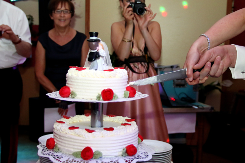 Anschnitt der Torte, Hochzeitsfotograf in Hannover, feier in der steintormasch hannover
